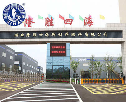 湖北隆胜四海新材料股份有限公司公司大门